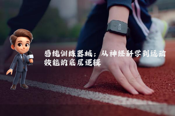 感统训练器械：从神经科学到运动效能的底层逻辑