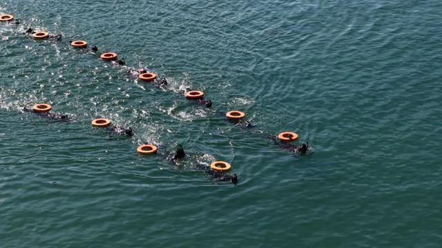 4名群众不幸落水，所幸海军陆战队员正在附近训练……